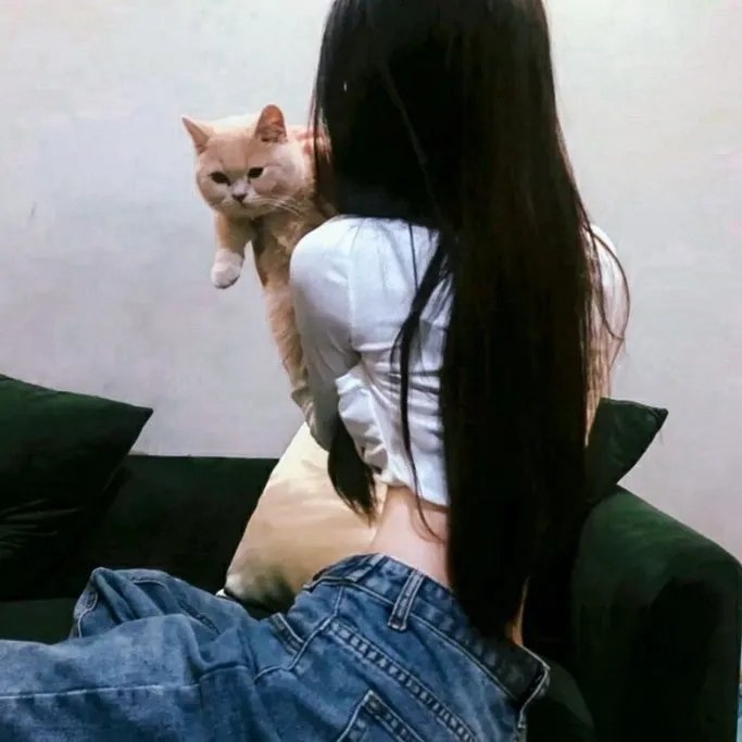 轻蔑