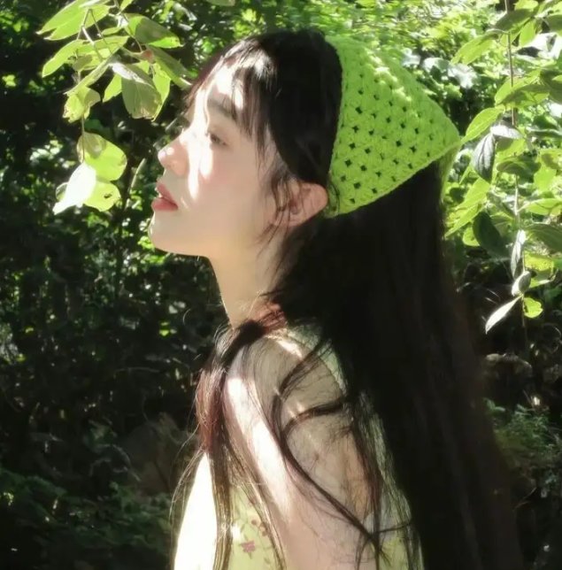 鹬